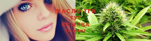стаф Семилуки