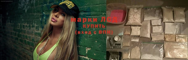 стаф Семилуки