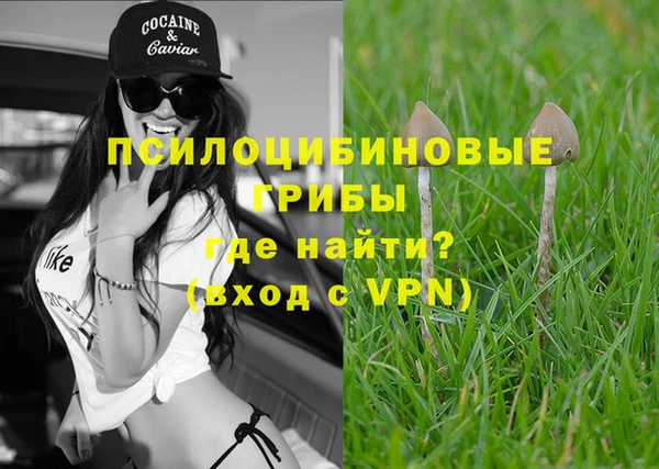 стаф Семилуки